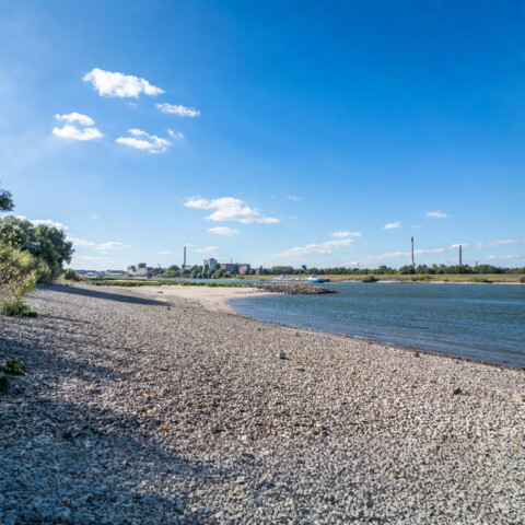 Niedrigwasser am Rhein: VBI fordert Tempo beim klimaresilienten Ausbau der Wasserstraßen